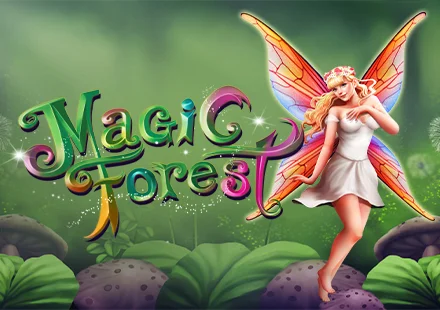 Magic Forest